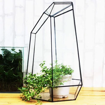 3X Домашняя теплица Шестиугольная стеклянная ваза за отдельную плату Садовый Миниатюрный Мини-пейзаж