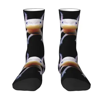 Модные Мексиканские носки с аксолотлем, женские мужские теплые баскетбольные спортивные носки с 3D-принтом в виде рыбы-саламандры-амфибии